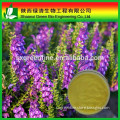 Scutellaria extract powder Baicalein Scutellaria P.E.